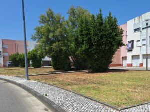relva 20250617 143857