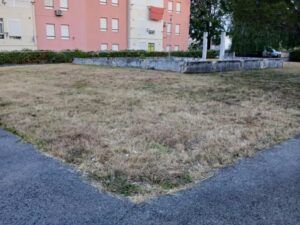 relva 43fd aecc e6664971d92b