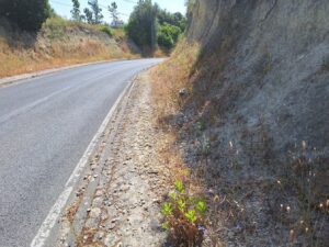 rua de leiria 20250622 103227