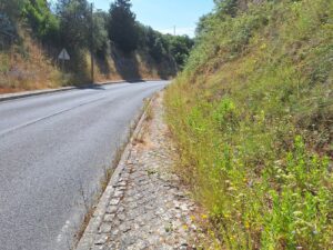 rua de leiria 20250622 103259