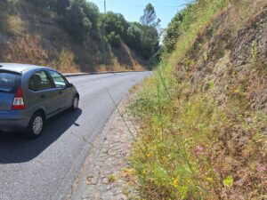 rua de leiria 20250622 103316