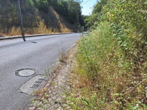 rua de leiria 20250622 103330