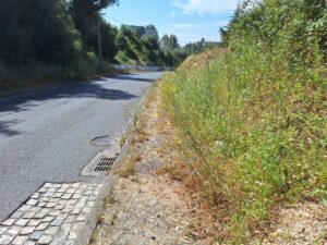 rua de leiria 20250622 103355