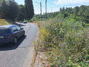 rua de leiria 20250622 103518