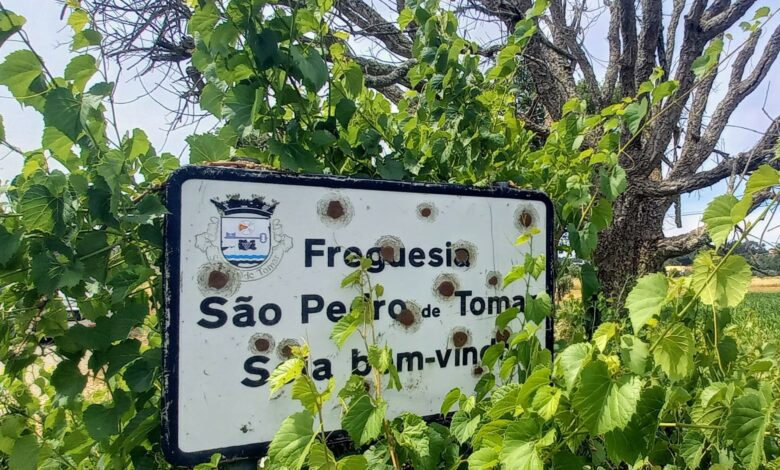 Tiro à placa s. pedro IMG 20250621 WA0002