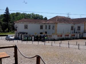 urin IMG 20250623 WA0007