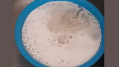agua Alguidar com agua torneira 28Jul2025