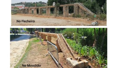 flecheiro calheiro 2