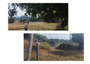 limpeza terrenos INCENDIO 2025 2 2 page 0003