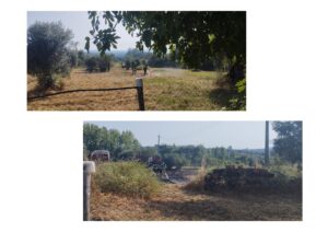 limpeza terrenos INCENDIO 2025 2 2 page 0004