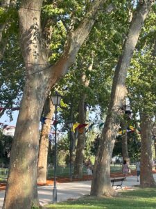 mouchao Foto2