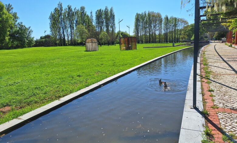 Parque ribeirinho de Vila Nova da Barquinha inaugurado há 20 anos parque ribeirinho barquinha 20250423 163007