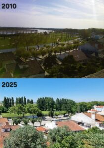 parque ribeirinho barquinha tiago santos 657999537179973 1055587532463718277 n