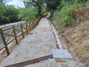 pinhal de santa barbara 20250712 103434
