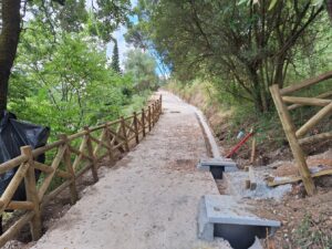 pinhal de santa barbara 20250712 103450