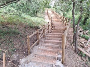 pinhal de santa barbara 20250712 103459