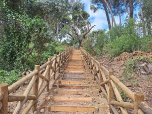 pinhal de santa barbara 20250712 103526