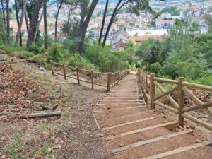 pinhal de santa barbara 20250712 103701