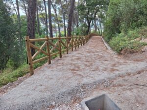 pinhal de santa barbara 20250712 103758