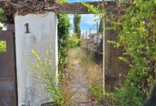 pinhal de santa barbara 20250712 104126