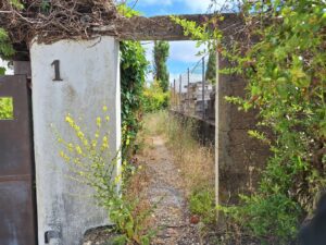 pinhal de santa barbara 20250712 104126