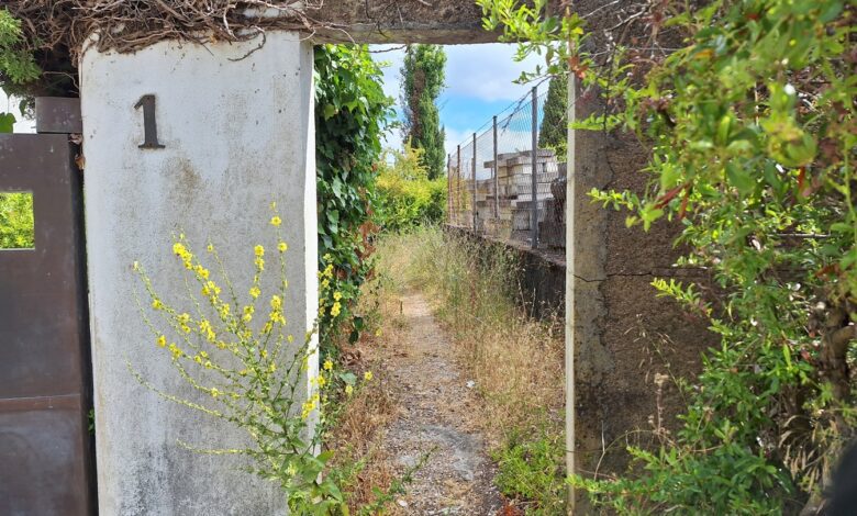 Novo passadiço no pinhal de Santa Bárbara sem ligação ao bairro Nª Srª dos Anjos pinhal de santa barbara 20250712 104126
