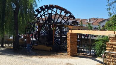 roda caheiro 20250706 111421