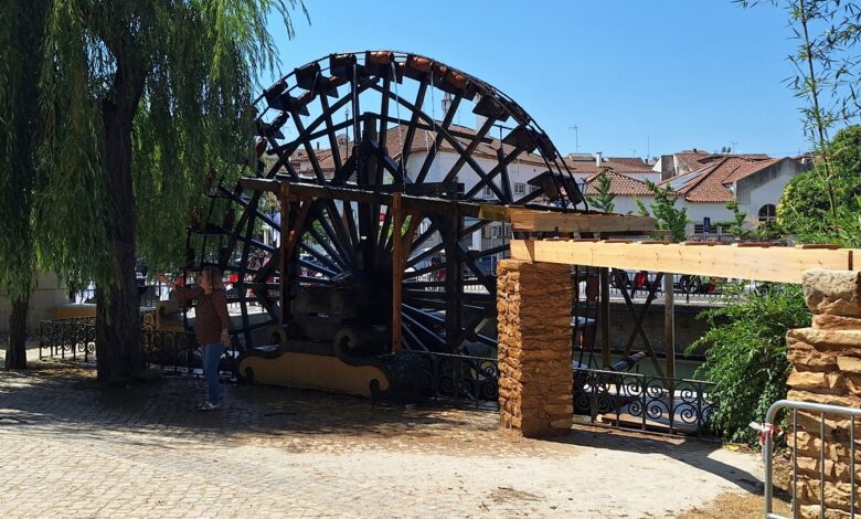 Tomar e os serviços de ecossistemas: valorizar o património natural para prosperar roda caheiro 20250706 111421