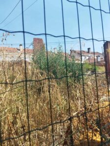 Vizinhos preocupados com habitações devolutas e degradadas ruin 1213209973940318 7109451348498861736 n