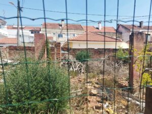 Vizinhos preocupados com habitações devolutas e degradadas ruin 19 622117403852138 7190730878926972621 n