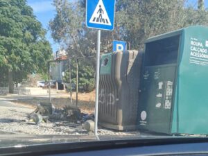 Ecoponto ardeu em pleno dia no Entroncamento IMG 20250824 WA0005