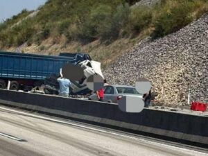 acid 1613251162926443 7320690722876892482 n