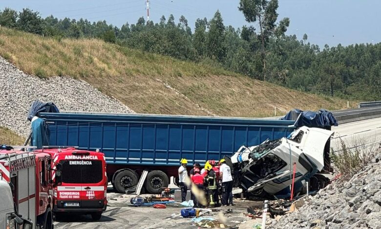 acid 10213417052417141 4338493651096007109 n