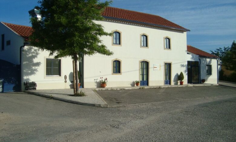 centro dia alem da ribeira 3238930876249557 2385164343351314217 n