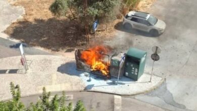 ent 24331718516508598 1395912784895446779 n