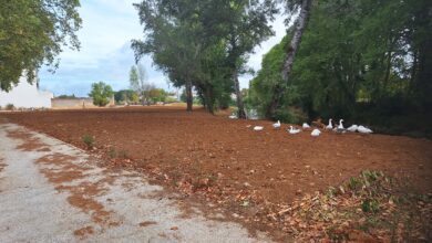 Obras no Flecheiro só terminam a 16 de outubro flecheiro 20250831 095755
