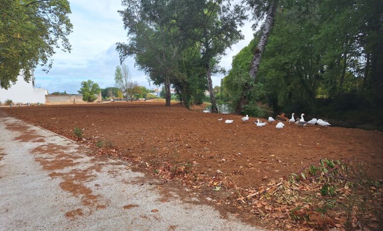 Obras no Flecheiro só terminam a 16 de outubro flecheiro 20250831 095755