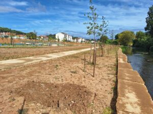 Obras no Flecheiro só terminam a 16 de outubro flecheiro 20250831 100320