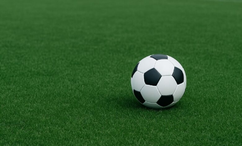 O desenvolvimento desportivo na infância e a prática do futebol em Tomar futebol