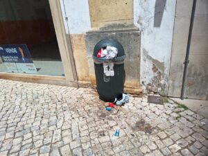 lixo 20250810 123556