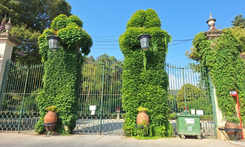 mata 20250806 100334