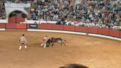 Tradição é mudar de opinião sempre que há votos na arena toir