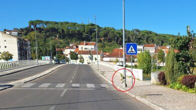Colocadas flores no local onde mulher morreu atropelada 20250922 101624