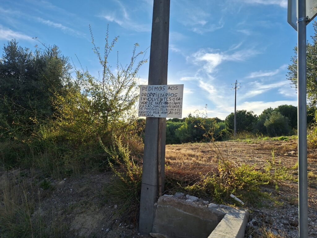 A foto é nossa, o comentário é seu 20250923 181916