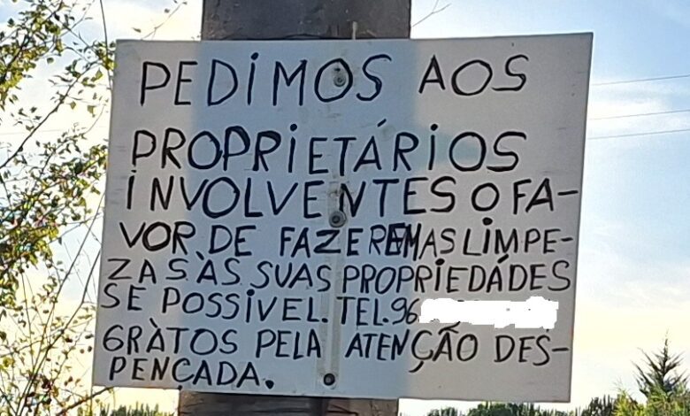 A foto é nossa, o comentário é seu 20250923 181916 Copia