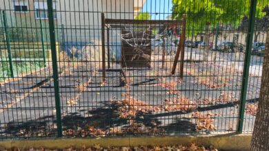 Imagem WhatsApp 2025 09 15 as 13.33.28 83b8e6b1