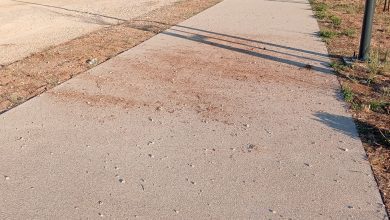 Andaram a fazer “piões” no Flecheiro e deixaram estragos drifts IMG20250930084051