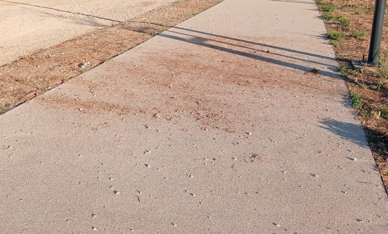 drifts IMG20250930084051