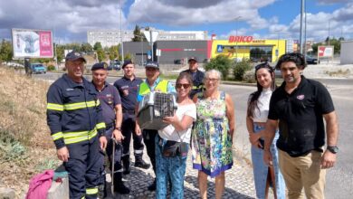 Voluntários com ajuda dos bombeiros resgatam gatinho gato 0237427356839252 201887456401047924 n