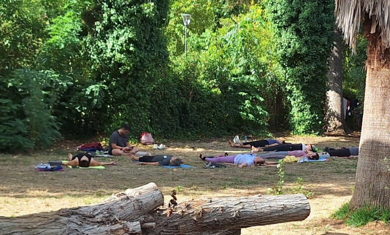 ioga 20250920 105715